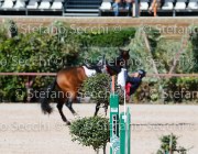 Apolloni Baby Arko GioCav2013 S5 1914 : Apolloni Gianluca, Baby Arko, Campionati Italiani Giovani Cavalli, Cattolica, ph Stefano Secchi ©